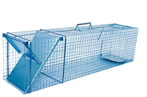 Klatka na kuny 50x17x20cm jednowejściowa